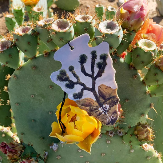 PRICKLY PEAR AIR FRESHENER